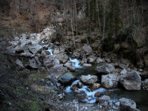 Scropoasa trail 10